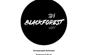 BLACKFOREST LOFT - Panoramablick Schwarzwald